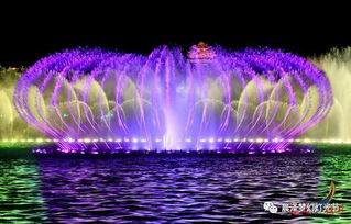 抢票攻略,美爆了 宁阳首届大型梦幻灯光暨音乐喷泉节空降来袭 6月16日在圣地农庄与你共度狂欢清凉一夏 门票免费送 送 送