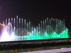 昨晚,滨海新区有一处童话世界